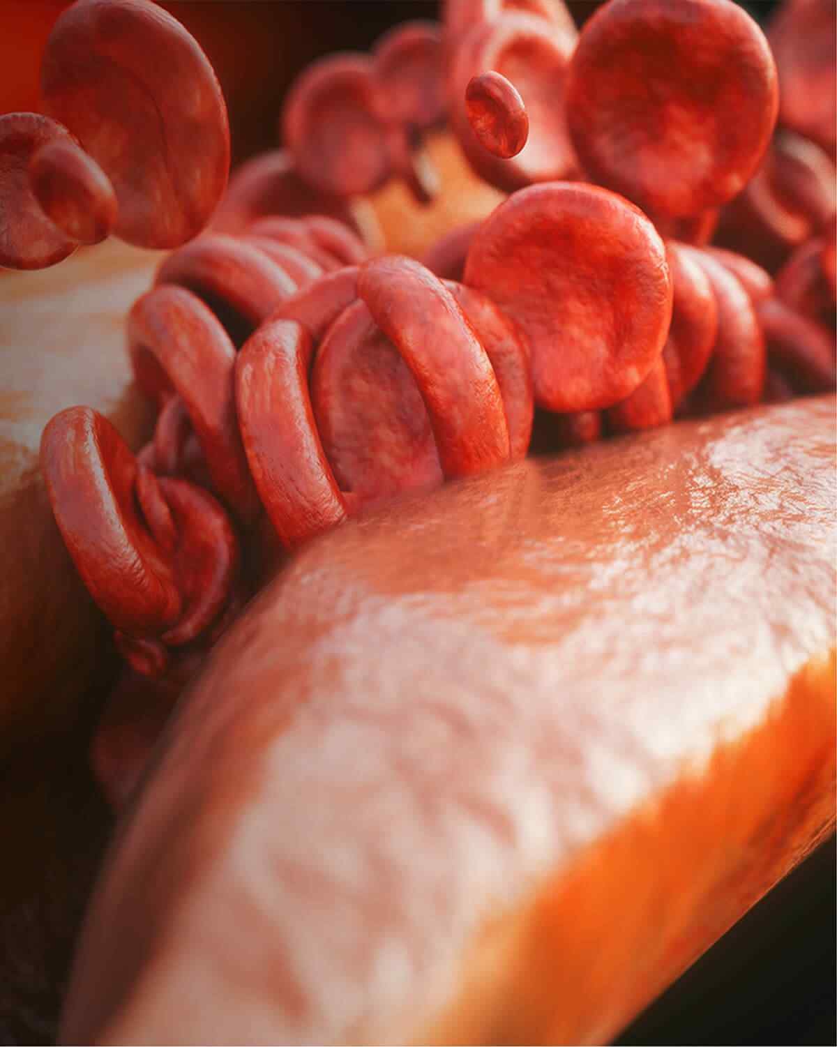 https://ariaclinic.ro/wp-content/uploads/2021/08/interactive_image_right.jpg